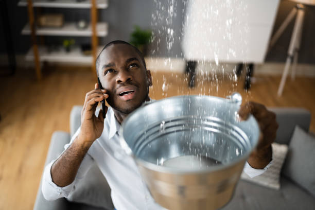 Best Local water damage restoration  in Pleasant Gap, PA