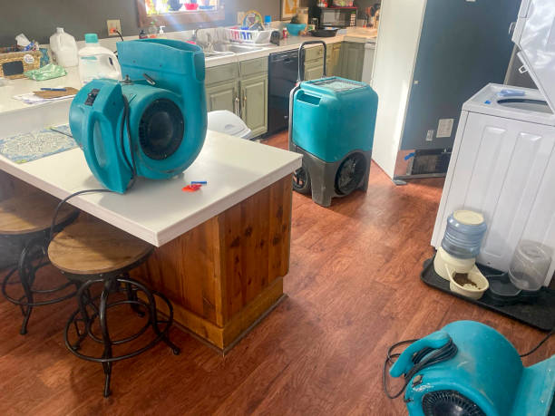 Best Basement water damage restoration  in Pleasant Gap, PA