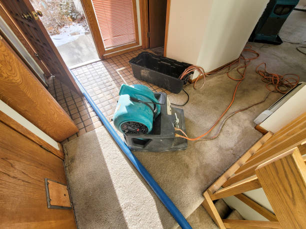 Best Flood restoration services  in Pleasant Gap, PA