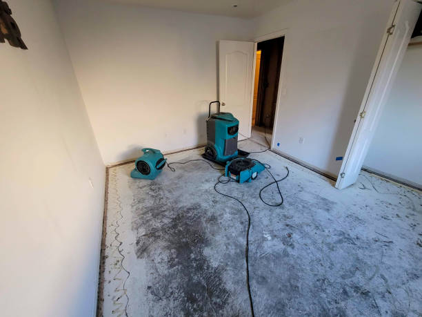 Best Flooded house restoration  in Pleasant Gap, PA