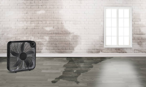 Best 24-hour water damage restoration  in Pleasant Gap, PA
