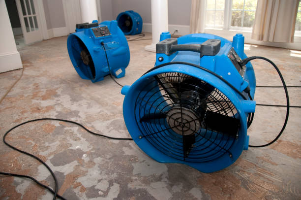Best 24/7 water damage repair  in Pleasant Gap, PA