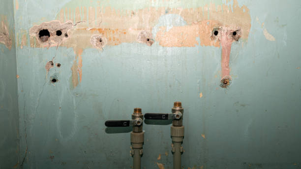 Best Water damage restoration cost  in Pleasant Gap, PA
