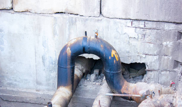 Best Mold removal after water damage  in Pleasant Gap, PA