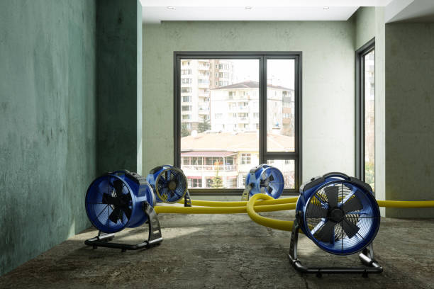 Best Sewage cleanup and water damage restoration  in Pleasant Gap, PA