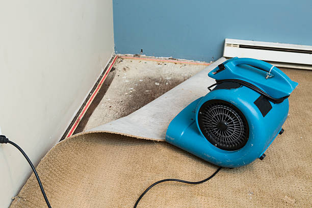 Best Flood restoration services  in Pleasant Gap, PA